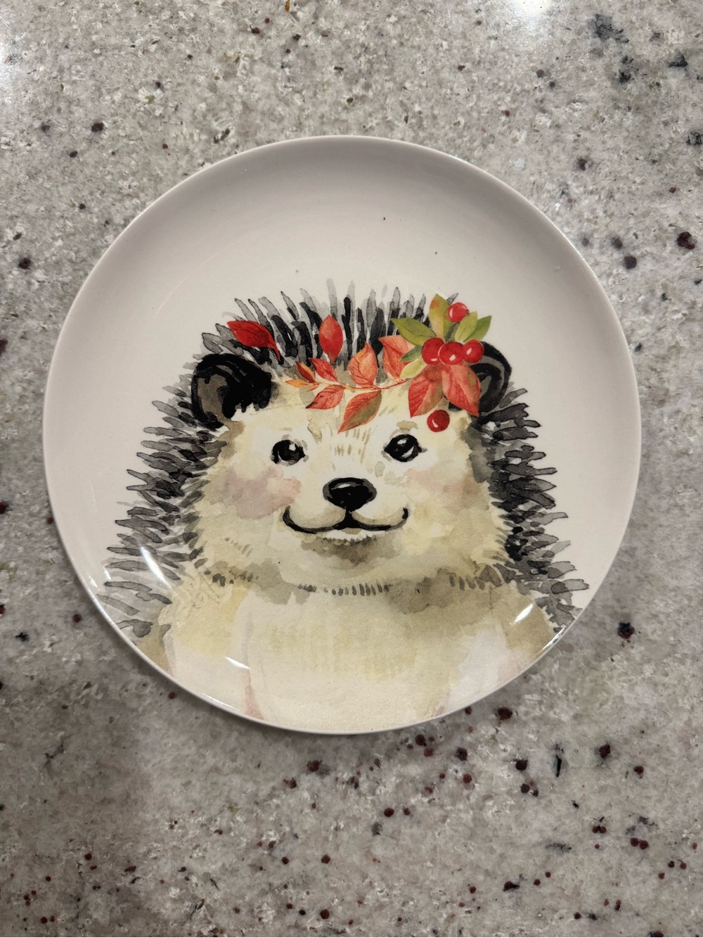 Robert Stanley Hedgehog Floral Fall Dessert Plate Autumn Cottagecore Decor